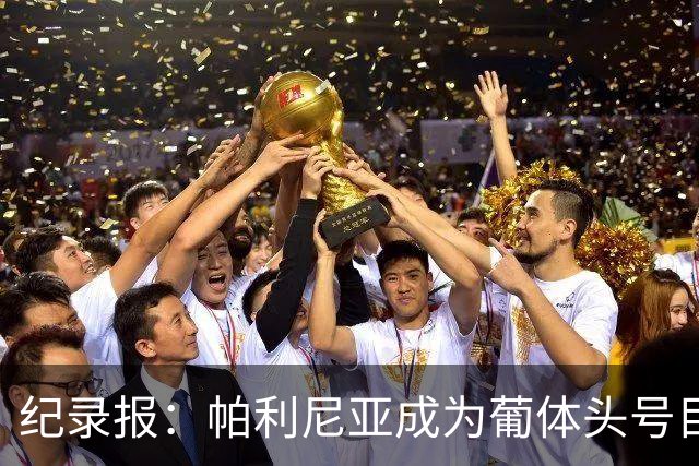 纪录报：帕利尼亚成为葡体头号目标，希望在新赛季开始前敲定交易