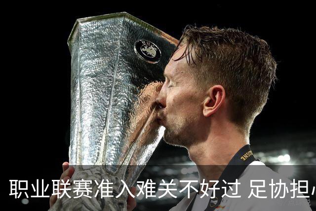职业联赛准入难关不好过 足协担心并不是多余